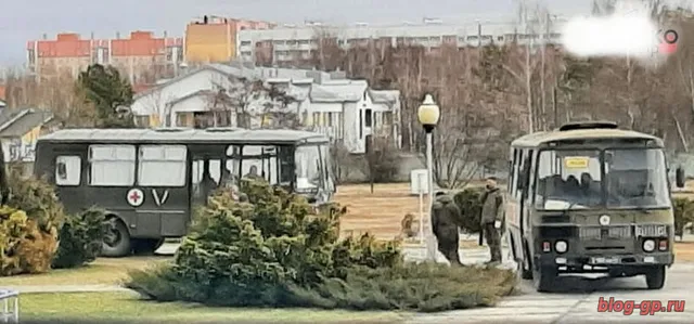 Сказки Рыжего леса